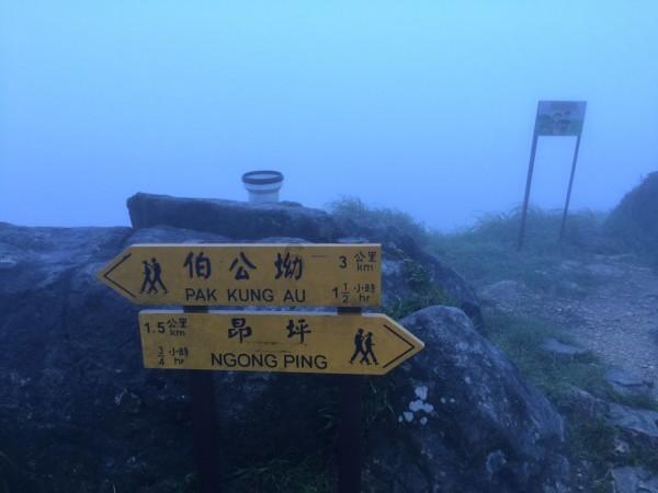 皇冠地下城选关版