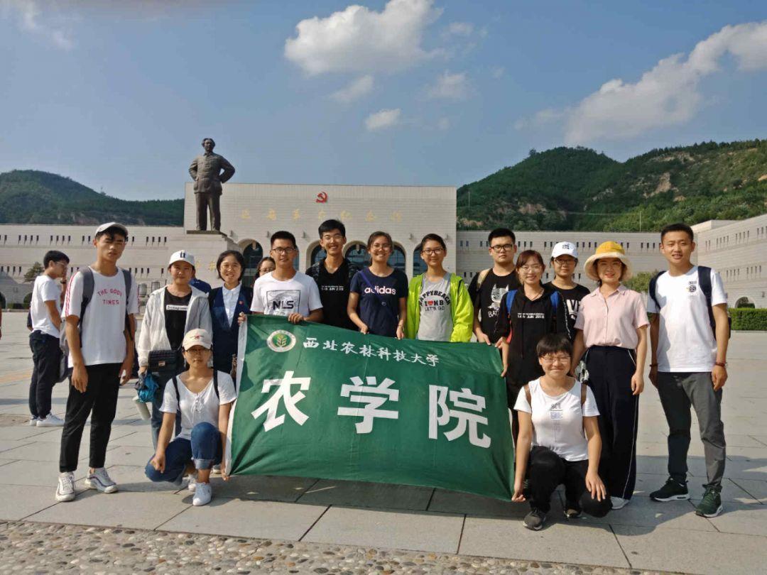 给奶奶养的小猫咪被送回来后，被网友称为“泡发的海参”！