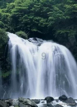 救援臭美男孩